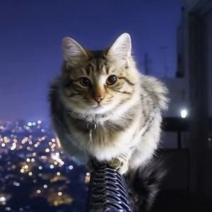 Meet your Posher, May